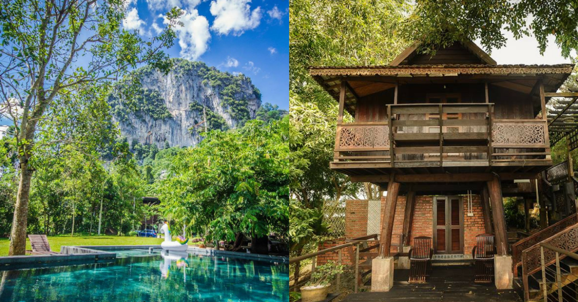 8 Chill & Tranquil Forest Resorts For a Relaxing Getaway