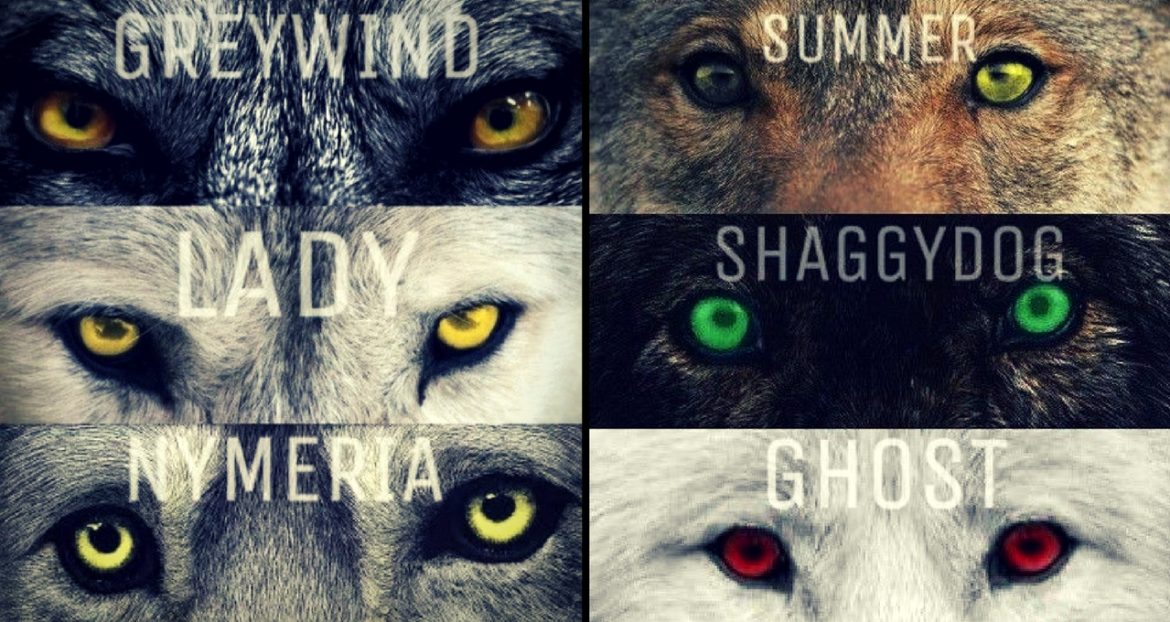 6 Best Moments The Stark’s Direwolves Have Touched Our Hearts