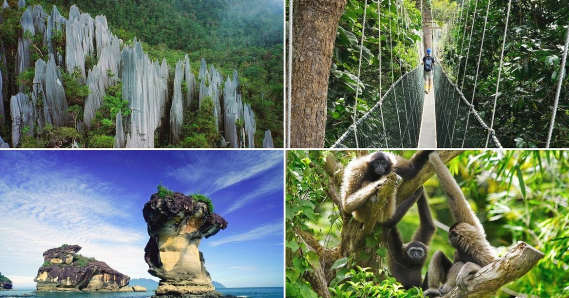 Spark Your Sense Of Adventure With 5 Malaysia National Parks Which Are Hiding Under Our Nose All These Time