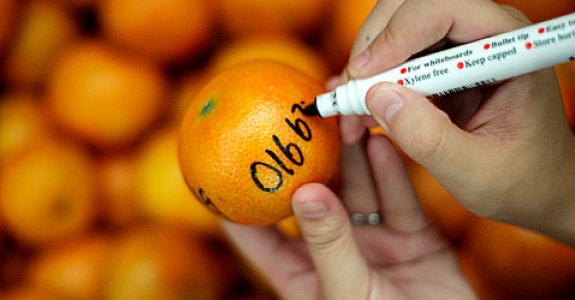 Why Do People Toss Mandarin Oranges Into The River During Chap Goh Meh?