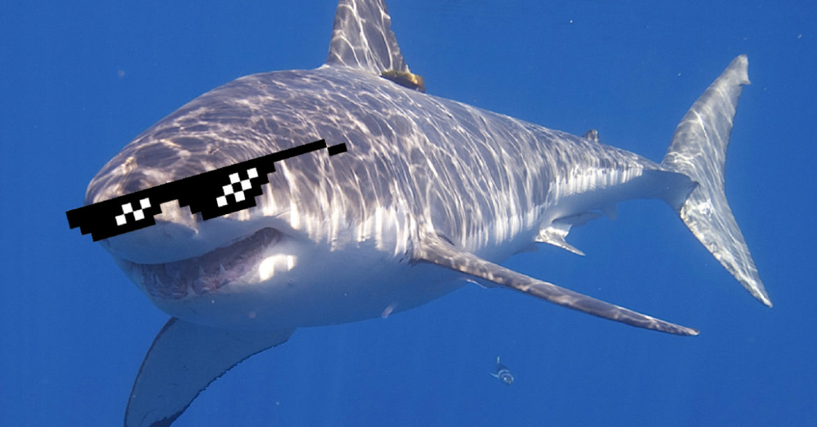 Scientists Found Surprise In An Active Volcano. Can You Guess What It Is?