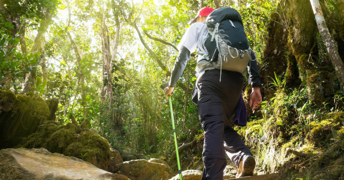 5 Breathtaking Places To Go For A Hike In West Malaysia