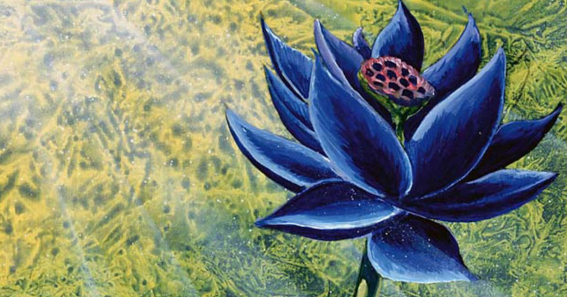 Rare Magic Card Sells For $87,000. You’d Be Laughing To The Bank If You Have One Of It.