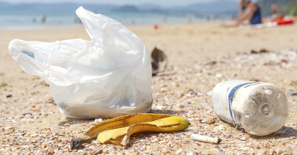 5 Creative Alternatives To Eliminate The Use Of Plastic Bags In Your Daily Lives