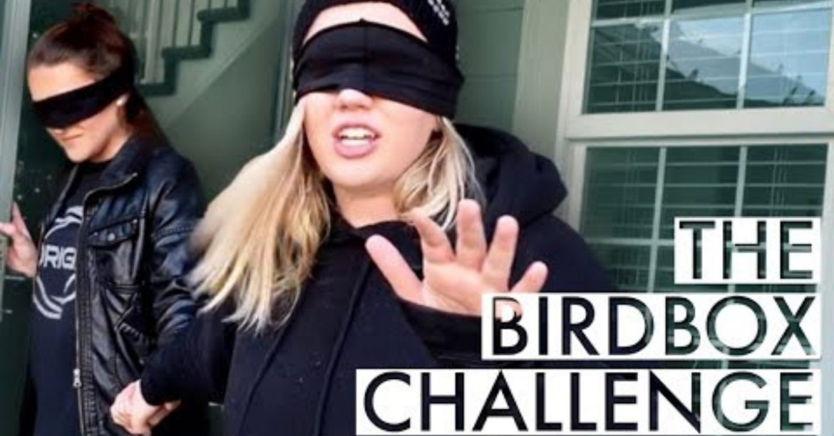 The #Bird Box Challenge Is Taking Over The Internet
