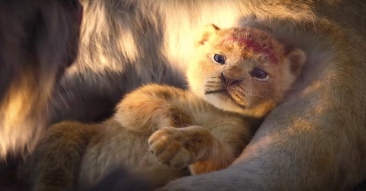 Disney Drops 2nd Lion King Trailer And It Left Us All Wanting For More!