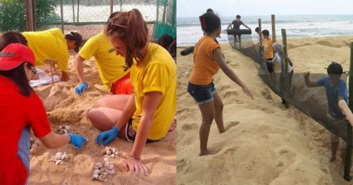 Lend A Hand To Mother Nature By Taking Part In 4 Of These Volunteer Travel Projects In Malaysia