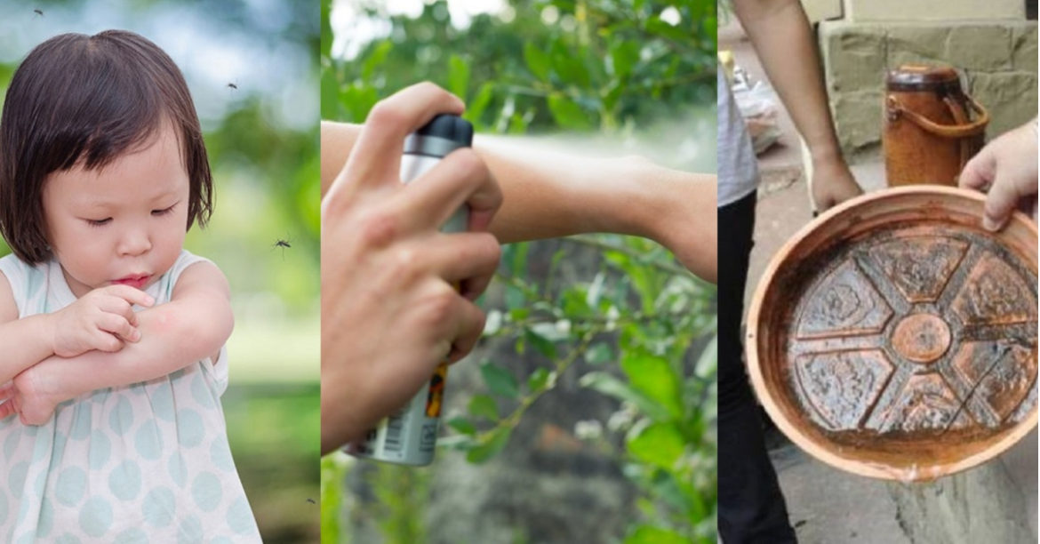 Type 2 Dengue Is On The Rise In Malaysia. Here Are 6 Prevention Steps To Take To Keep This Virus At Bay.