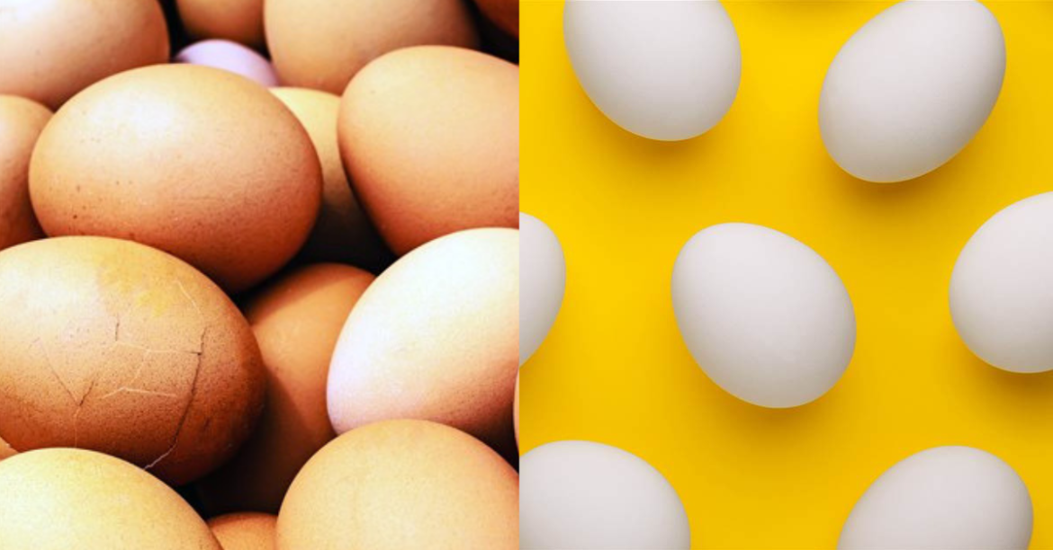 From Being The Most Liked Post On Instagram To The Eggboy Incident, Egg Is Officially The Protein Of 2019