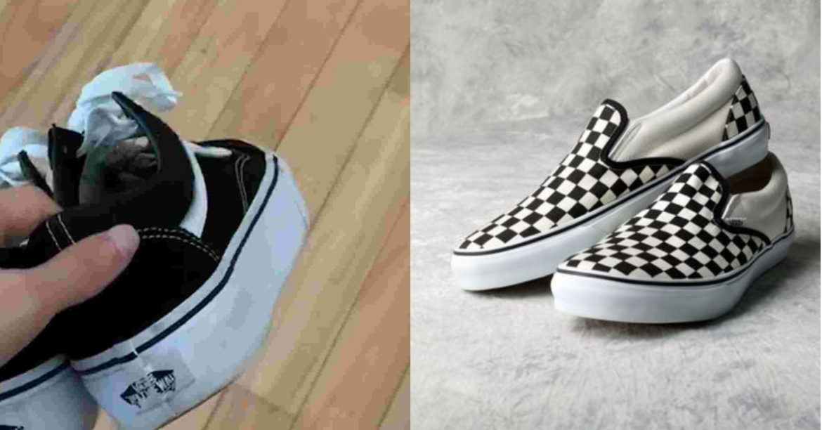 The #VansChallenge Is Taking Over The Internet And Here’s All You Need To Know About It!