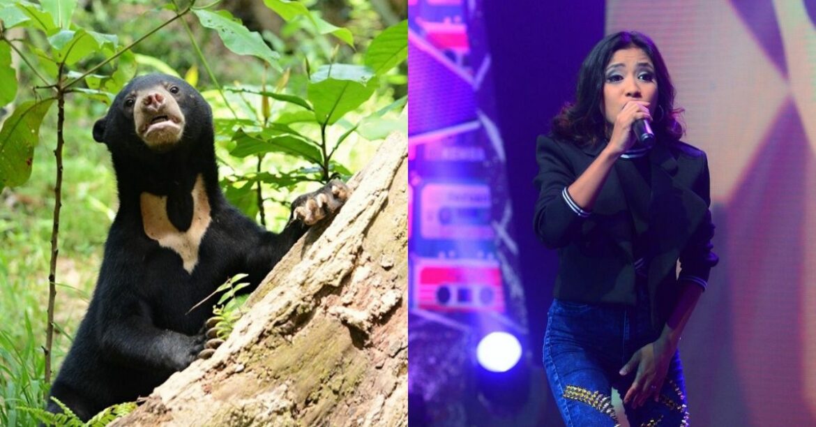 Malaysian Singer Zarith Sofia Arrested For Illegally Keeping A Bear Cub In Her Condominium!