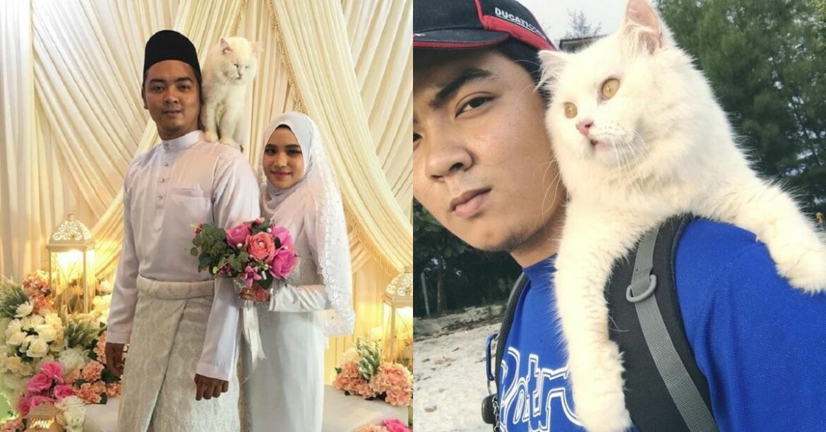 Friendship Day Special Vol. 1: Furry Friends Edition Ft Afiq Shazwan And Fluffy The Cat