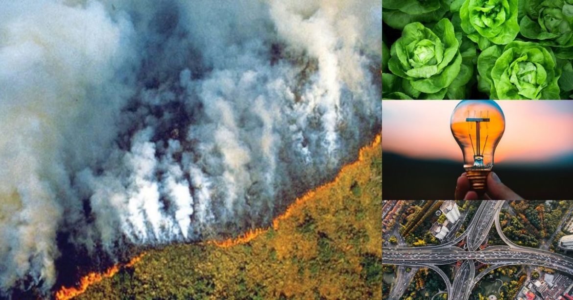 #PrayForTheAmazon: Here’s 5 Simple Steps You Can Do To Combat Climate Change!