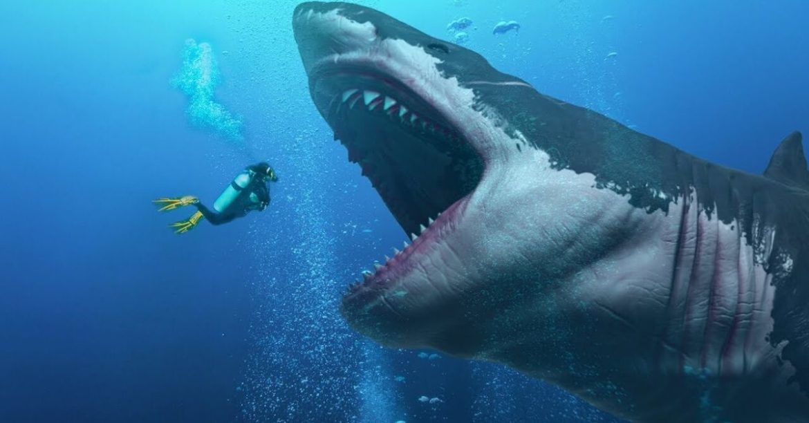 5 Fascinating Facts About The Megalodon That You Need To Know