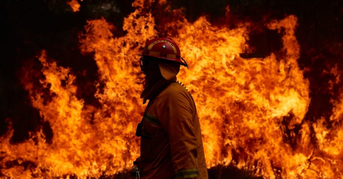 All You Need To Know About The Australian Bushfire Crisis : Tragedy Sparks Solidarity