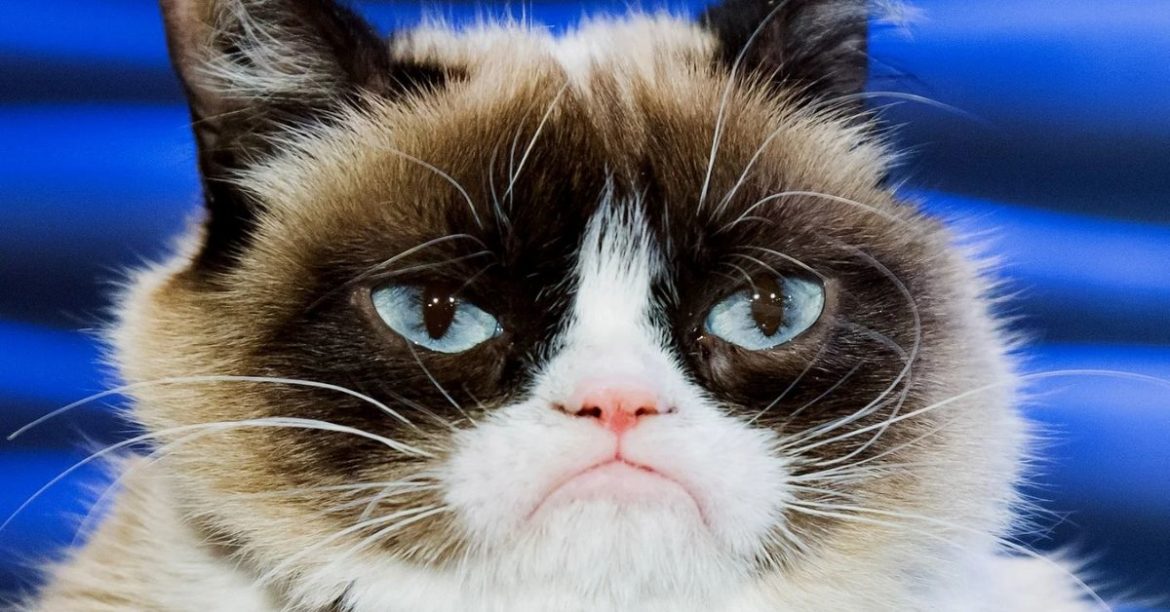 Take A Look At The Best Memes Of 2020 So Far!