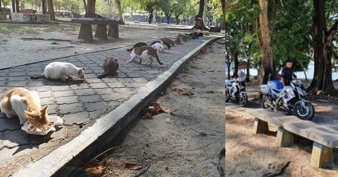 Police Feeding Stray Cats At Pantai Teluk Batik Never Forgets About Social Distancing!