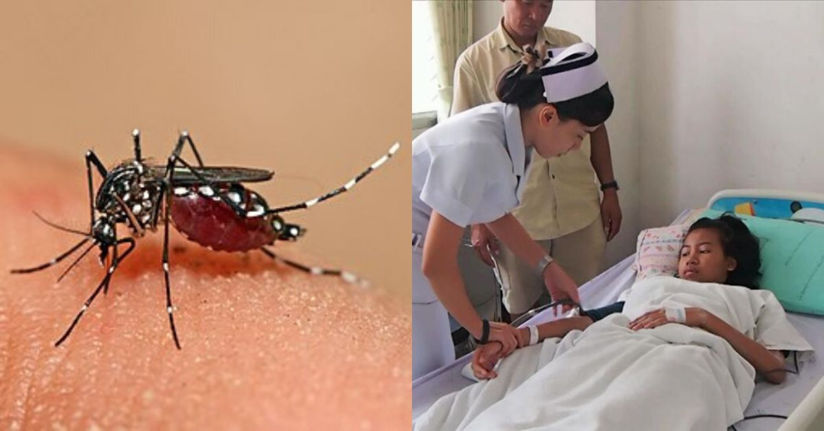 Covid-19 Isn’t The Only Thing We Need To Fear, We Now Need To Worry About Dengue Fever