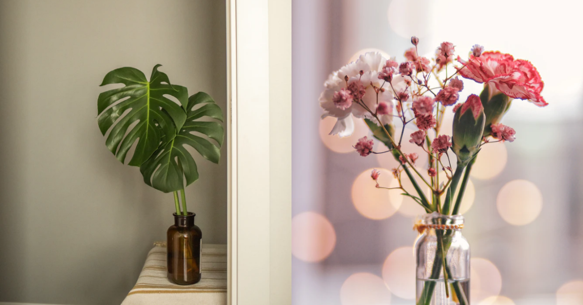 5 Florists & Nurseries in Klang Valley That Delivers Fresh Plants to Your Doorstep