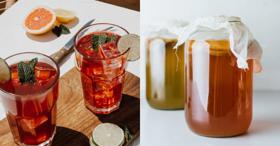How to Make Your Own Kombucha At Home?