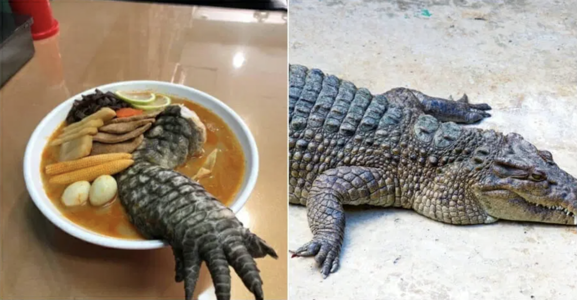 TAIWANESE RESTAURANT SERVES CROCODILE RAMEN FOR RM225 PER BOWL