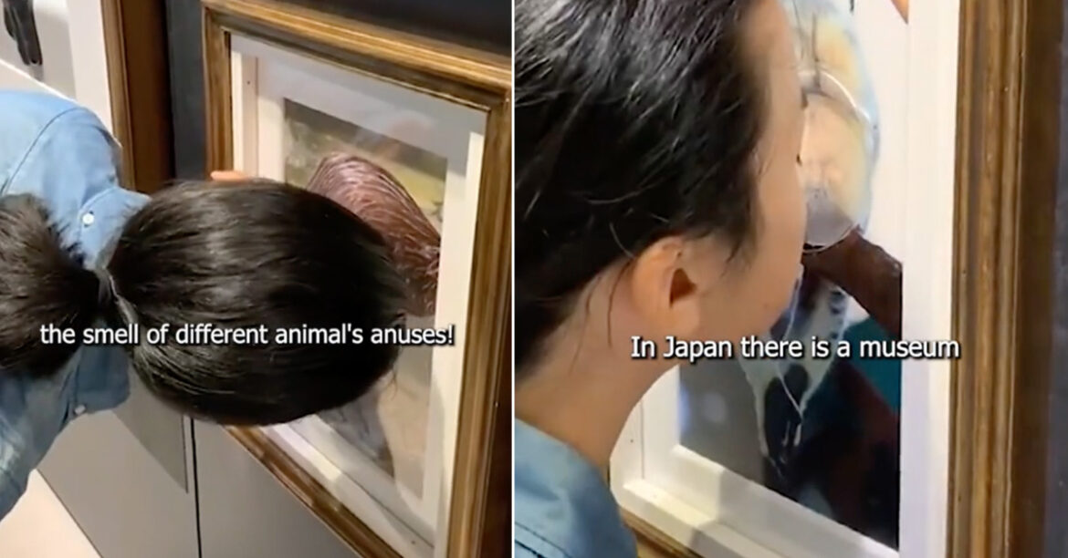 JAPAN ART EXHIBIT LETS YOU SNIFF ‘ANIMAL BUTTS’ THAT ARE MADE TO SMELL LIKE THE REAL THING