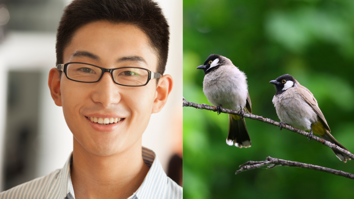 CHINESE YOUTHS WHO DO NOT WANT TO WORK OR GO TO SCHOOL ARE POSING AS BIRDS ONLINE