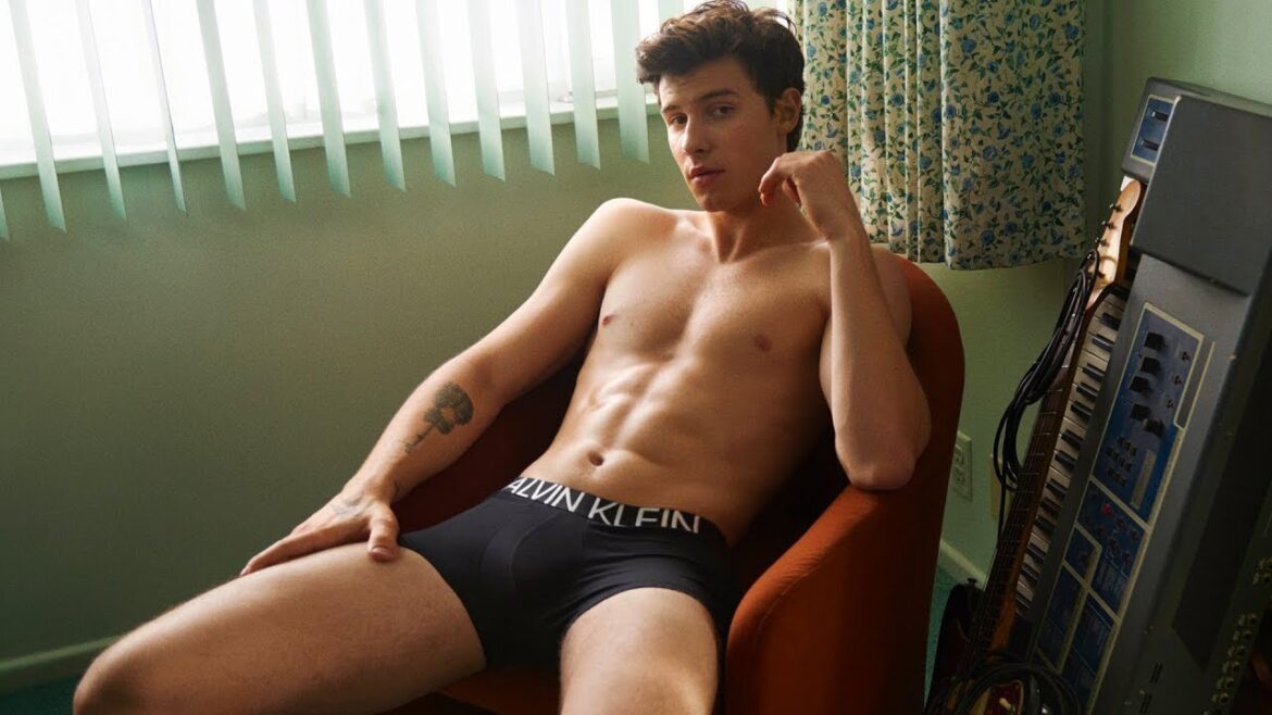 SHAWN MENDES HAS OPENED UP ABOUT HIS SEXUALITY