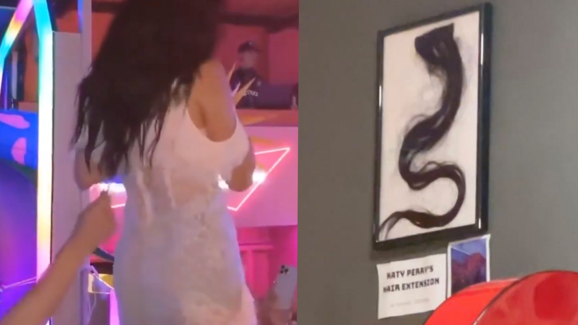 A FAN SECRETLY PULLED OUT KATY PERRY’S HAIR EXTENSION AND FRAMED IT